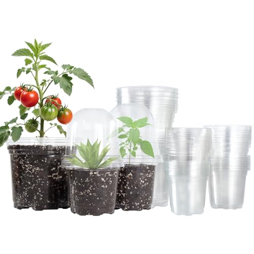Bluepro 36 Packs 5/4/3.5 Inch Clear Nursery Pots With Humidity Domes, Transparent Plant Pots With Drainage Holes, Variety Pack Seedling Pots for Vegetable Propagation, Root Cutting, Seed Starting