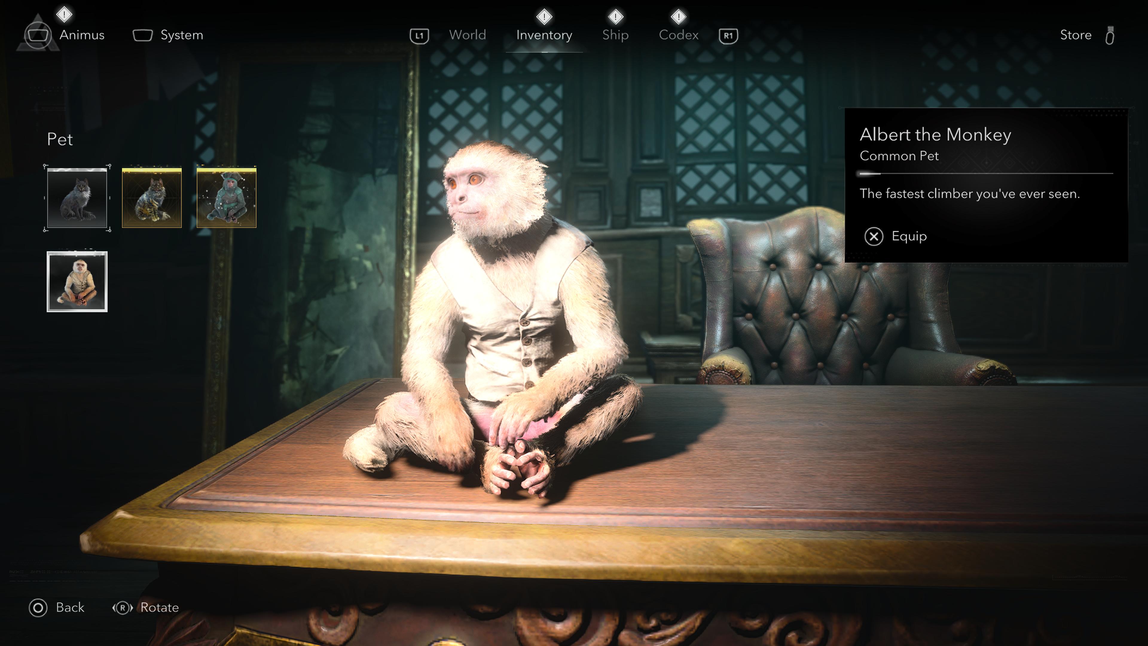 Albert the Monkey, one of the pets in Black Flag Resynced