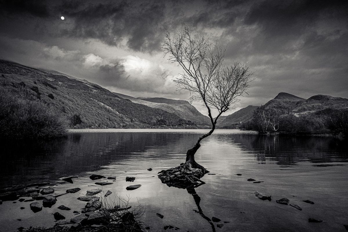 GuruShots - Powerful Black &amp; White Jan 26