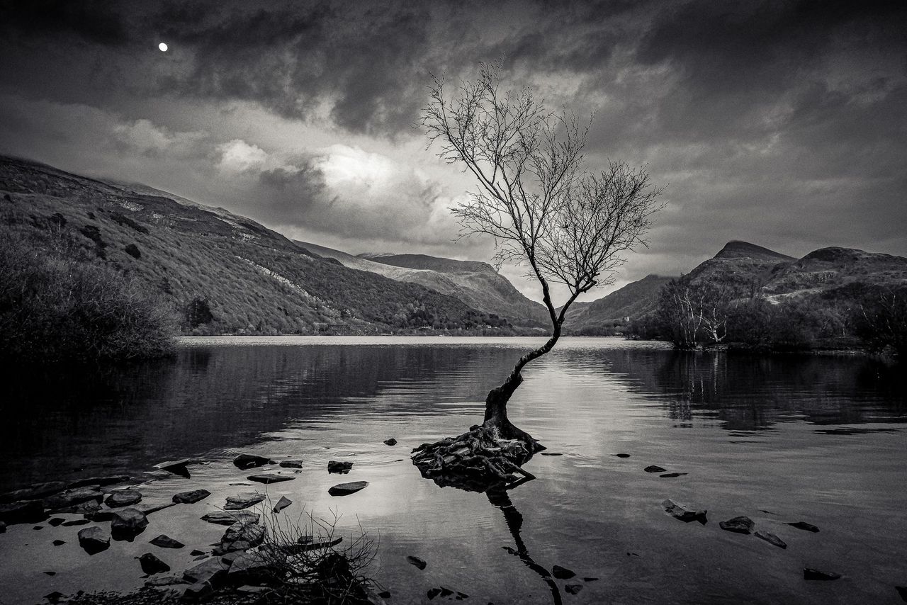 GuruShots - Powerful Black &amp; White Jan 26