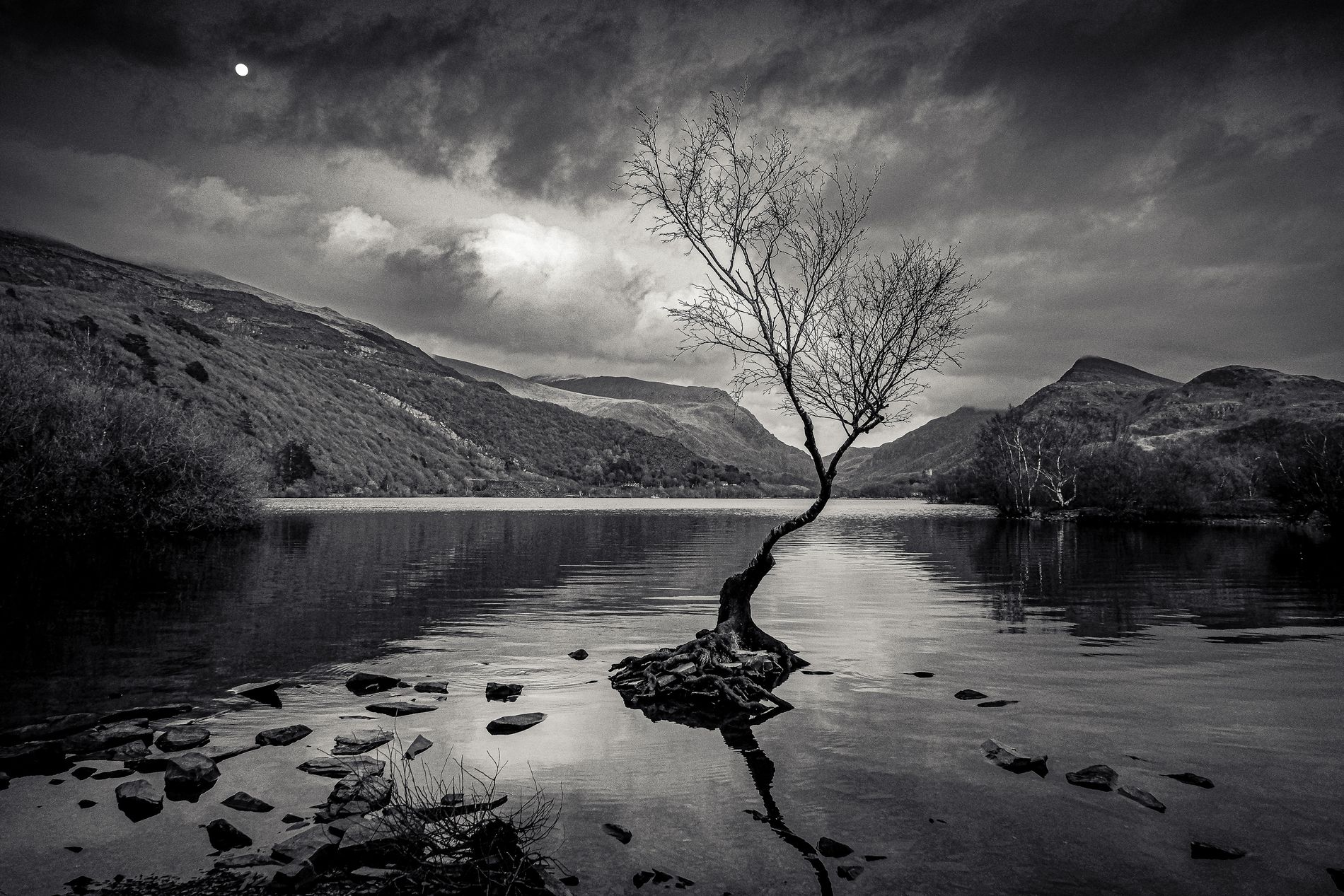 GuruShots - Powerful Black & White Jan 26