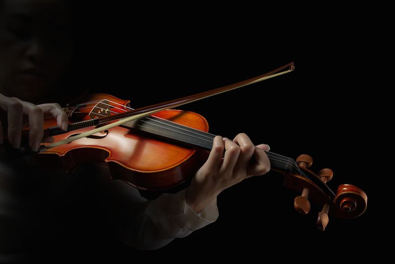 How The Violin Got Its Shape Live Science