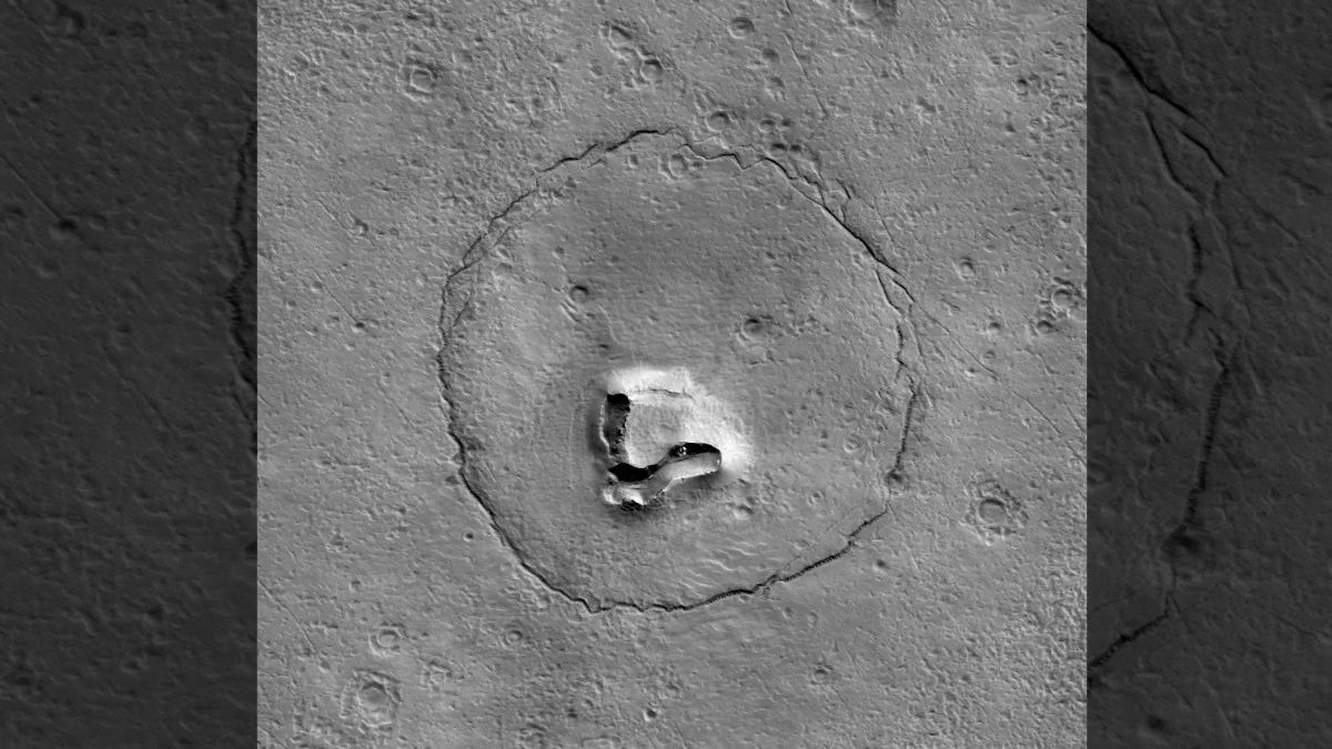 NASA memata-matai bebatuan Mars yang terlihat seperti boneka beruang