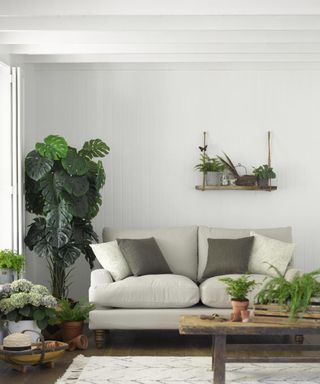 A white living room with shiplap wall paneling, white painted beams and two-seater sofa, wooden coffee table and indoor houseplants