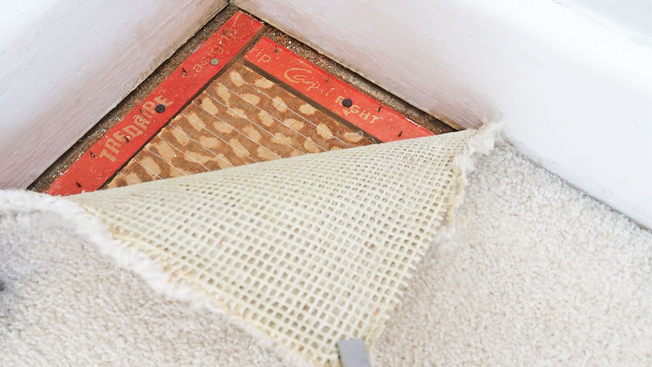 Carpet being pulled back in the corner of a room to expose the underlay and gripper rods