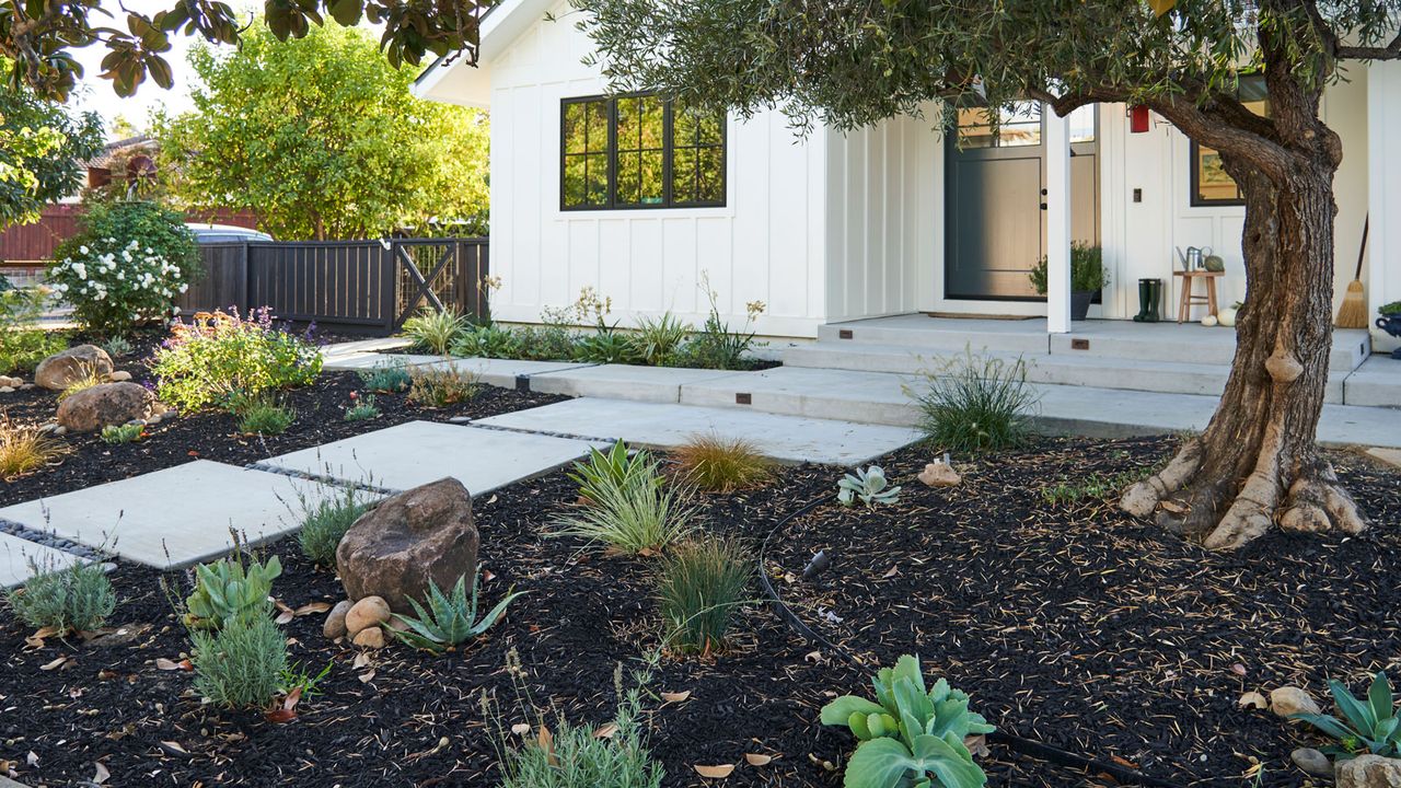 front yard design with mulch, rocks and plants