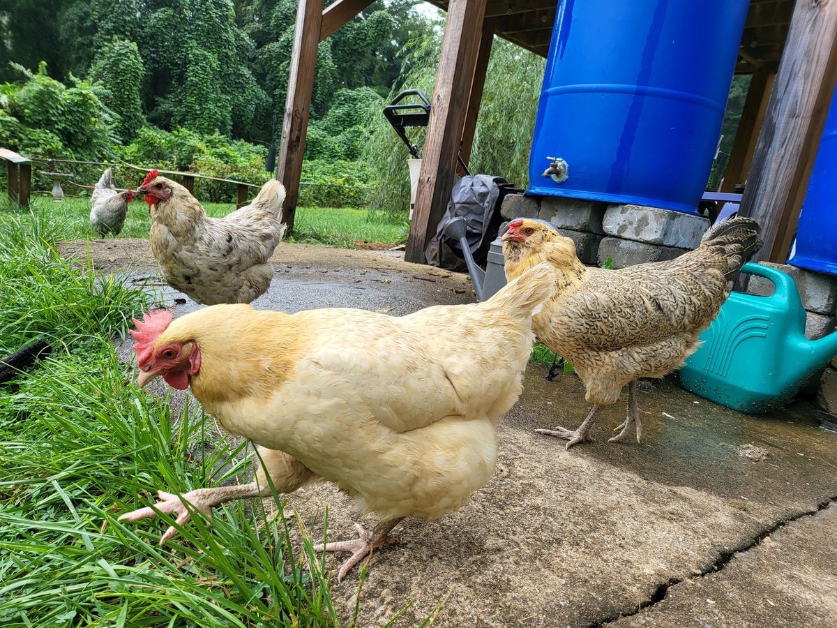 Galaxy Z Fold 3 Camera Sample