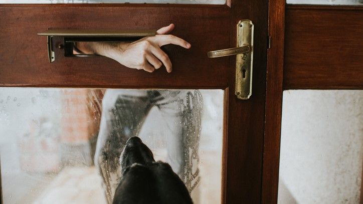 Man putting hand through letterbox and dog at door