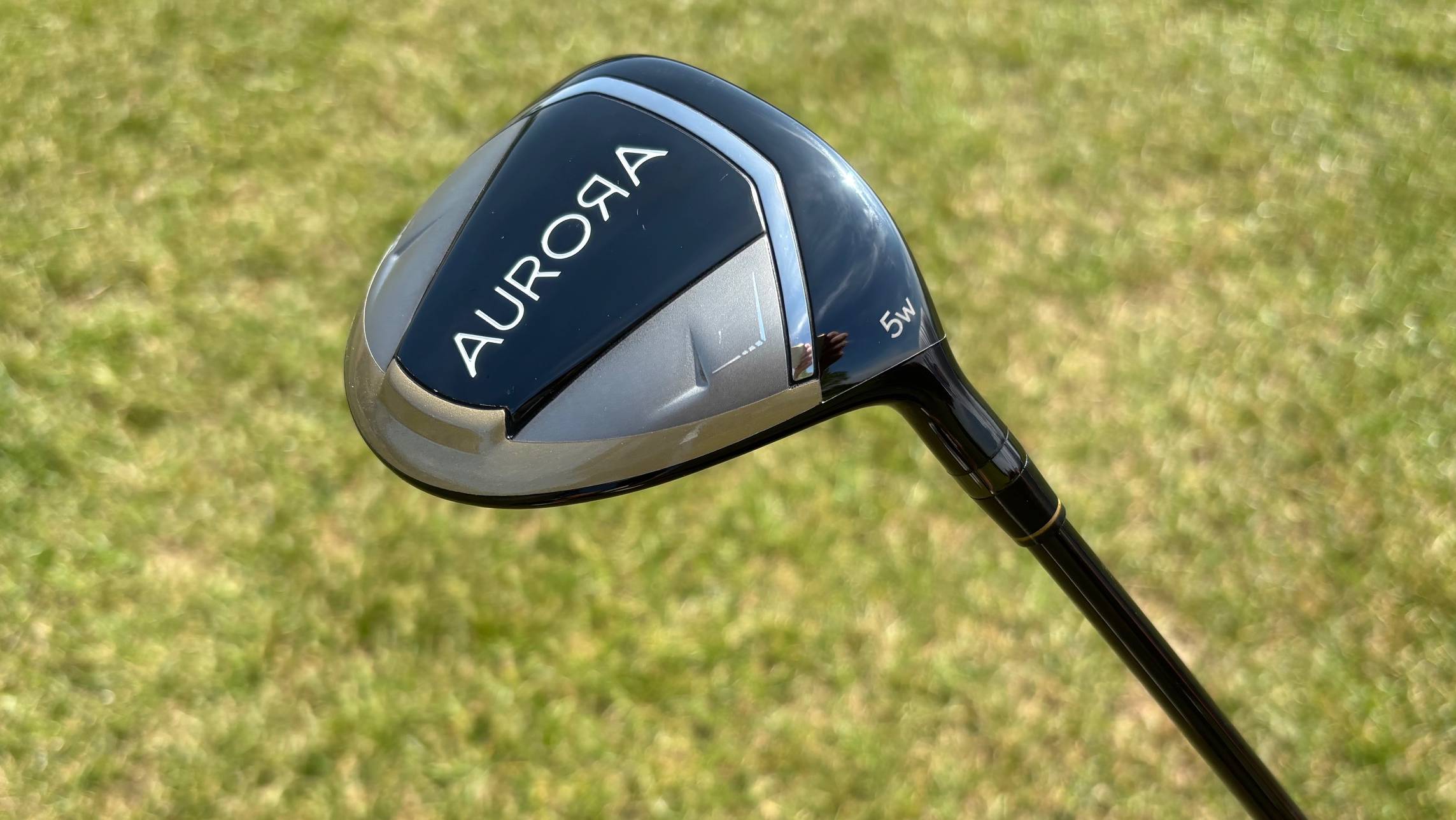 Wilson Aurora package set 5-wood