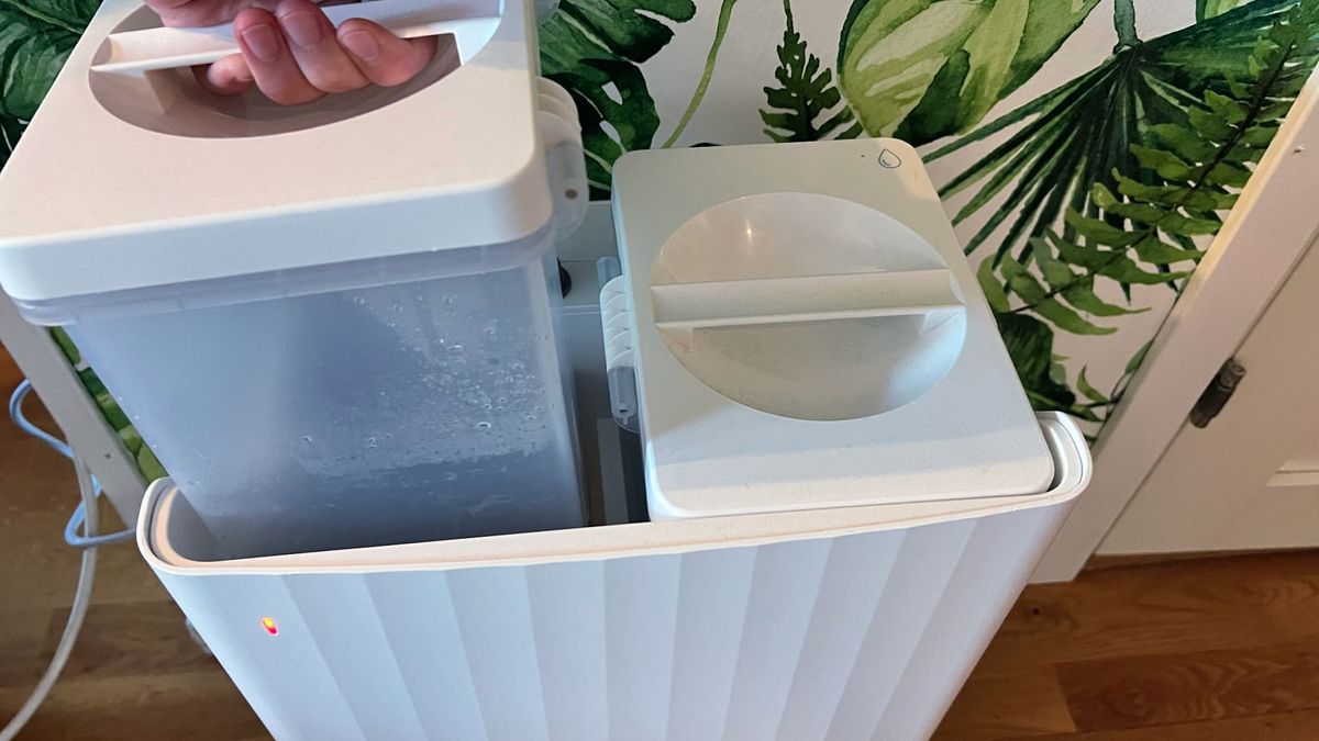 Roborock Q Revo med dockningsstation mot gr&ouml;n tapet