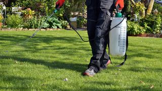 person spraying grass with chemical treatment