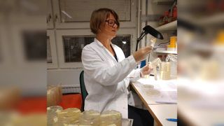 Microbiologist Karin Hjort in the lab holding a petri dish