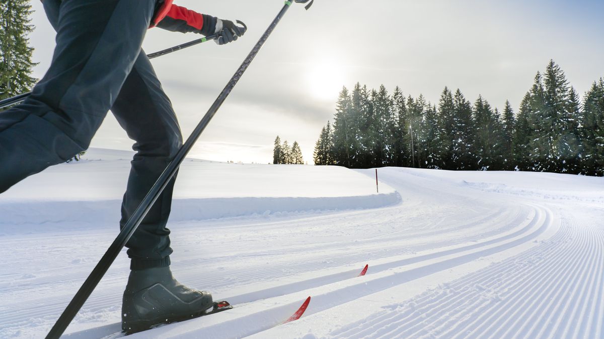 A cross country skier on a track