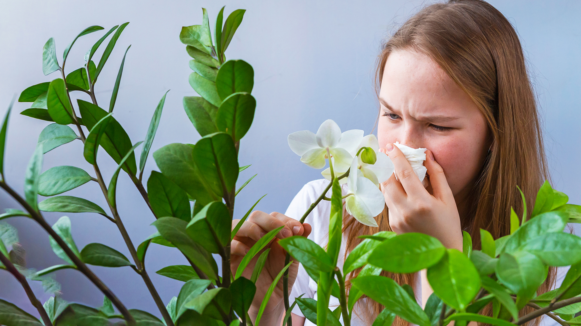 A teenage girl covers her nose in front of houseplants, indicating seasonal allergy response