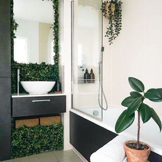rental flat bathroom with greenery