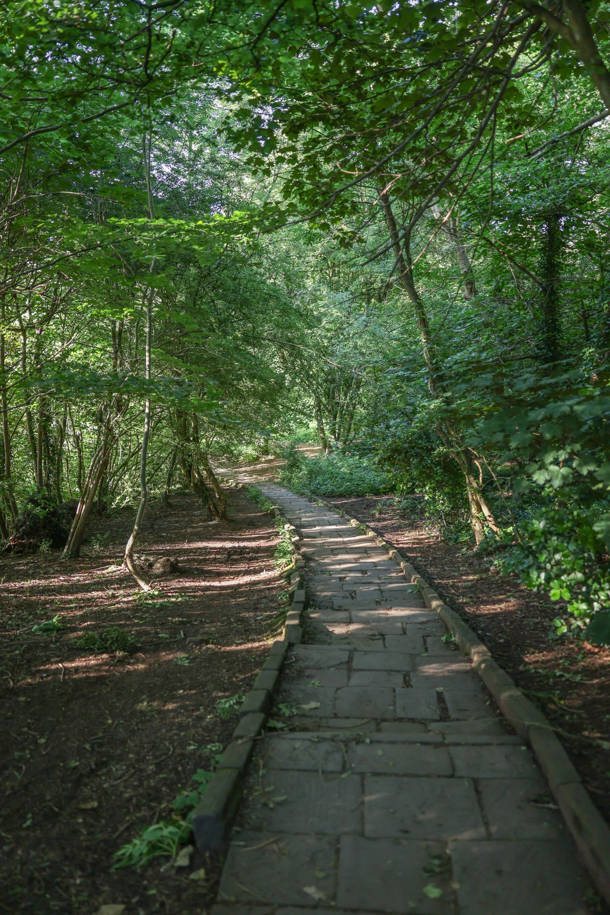 A photo taken on a Canon EOS R6 Mark III to test the dynamic range performance