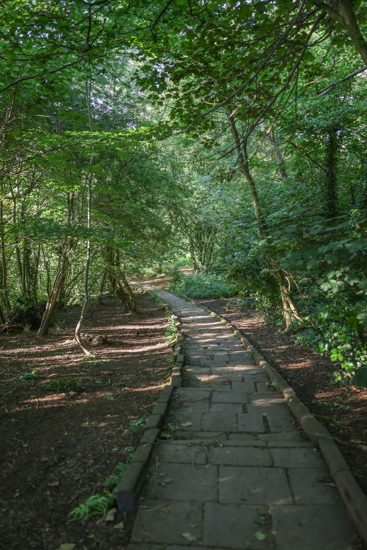 A photo taken on a Canon EOS R6 Mark III to test the dynamic range performance