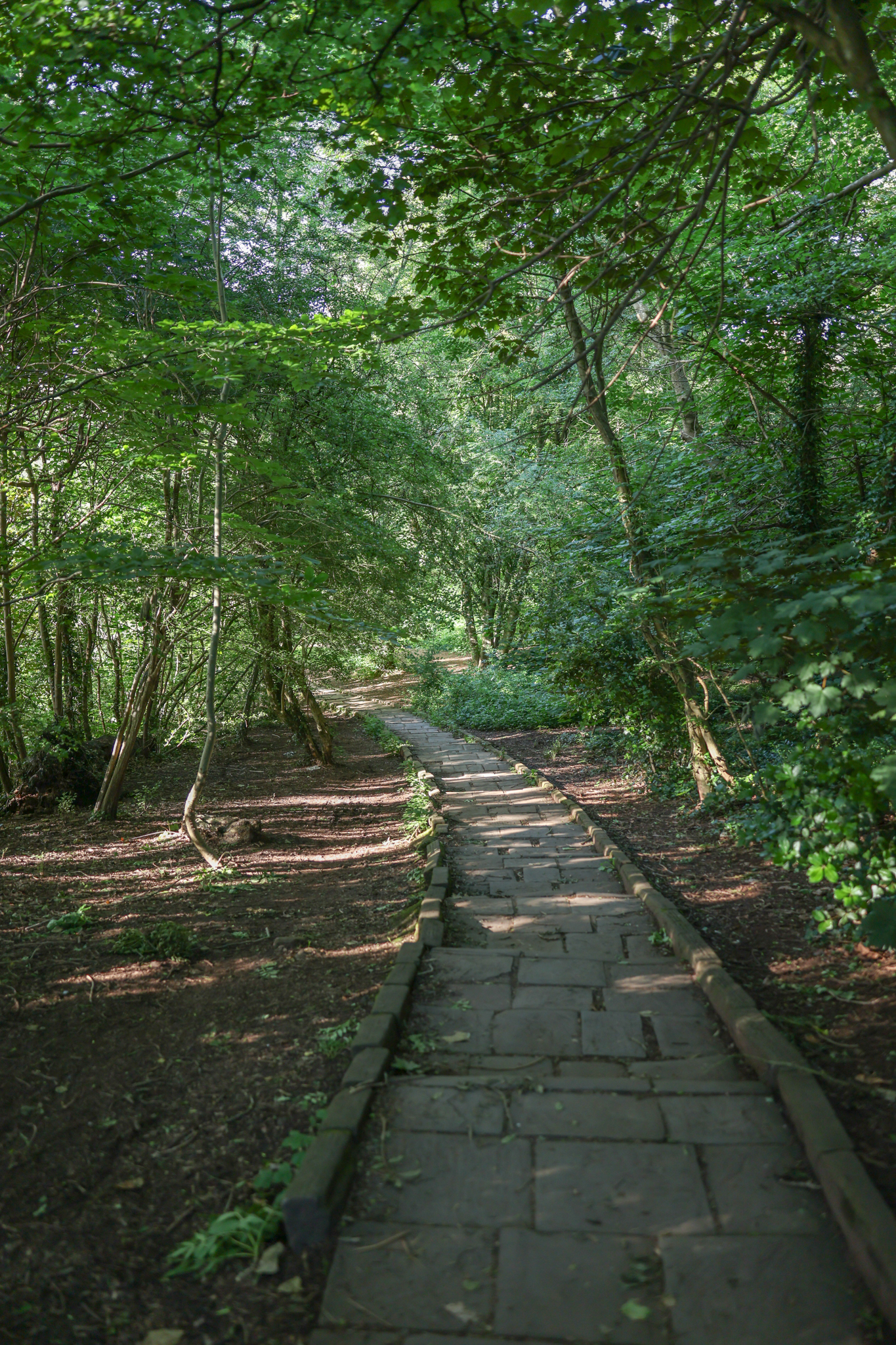 A photo taken on a Canon EOS R6 Mark III to test the dynamic range performance