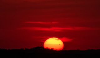 Venus transit as seen from Langdon, N.D., during sunset. "It made it out from the clouds to hit the horizon," KJS wrote on his <a href="http://www.flickr.com/photos/wolf911/">Flickr site</a>. "Officially the last shot."