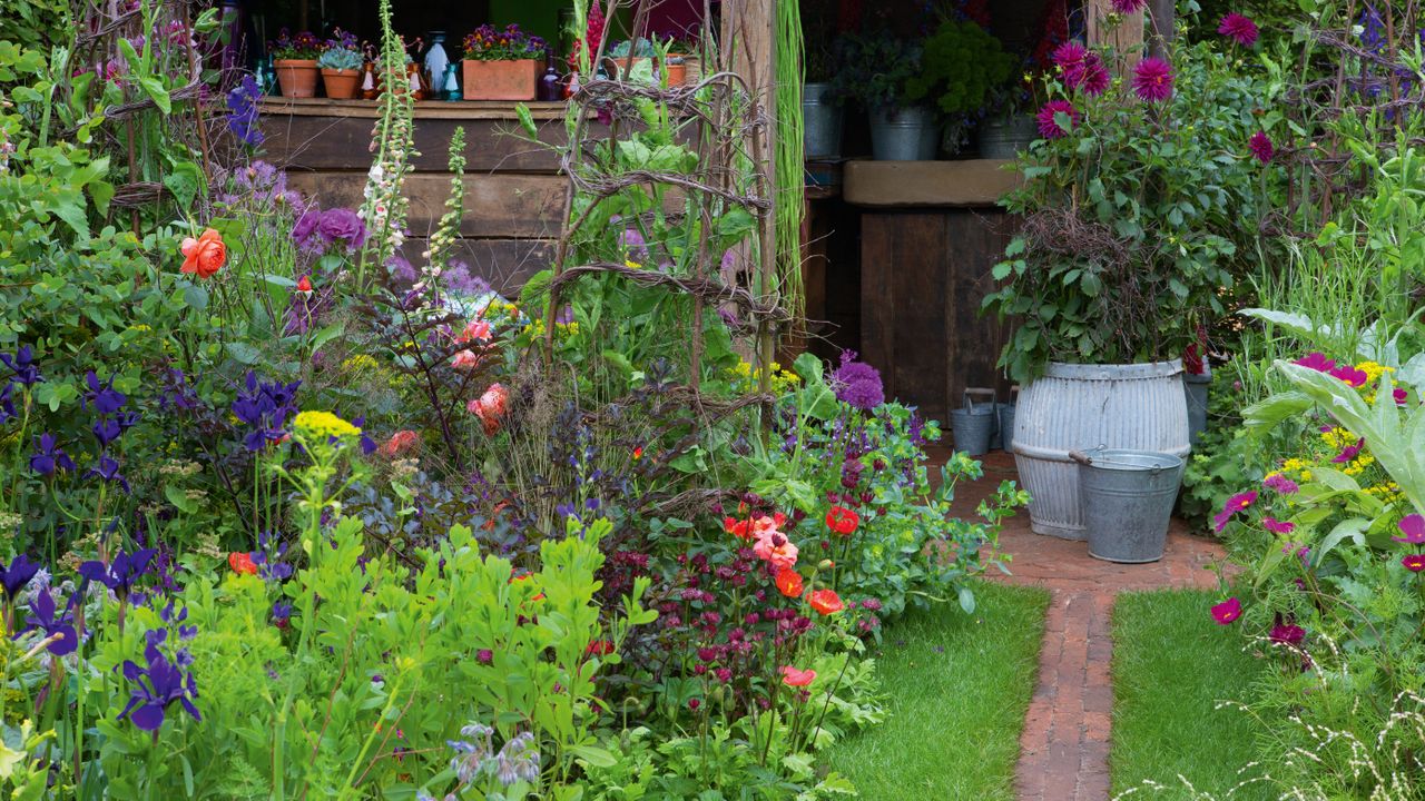 flowers in a cutting garden