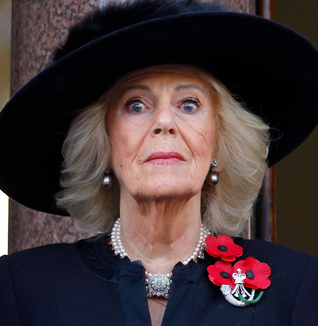 Queen Camilla wearing a big black hat looking surprised