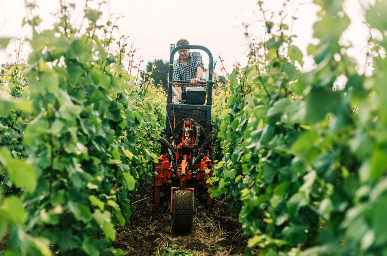 Martin Spedding, owner of Ten Minutes by Tractor
