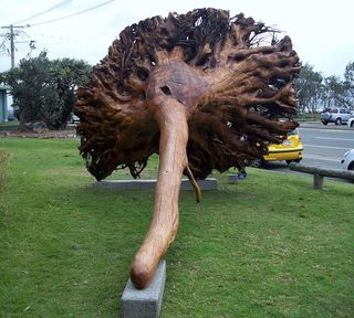 John Dahlsen's fallen tree sculpture from a different angle
