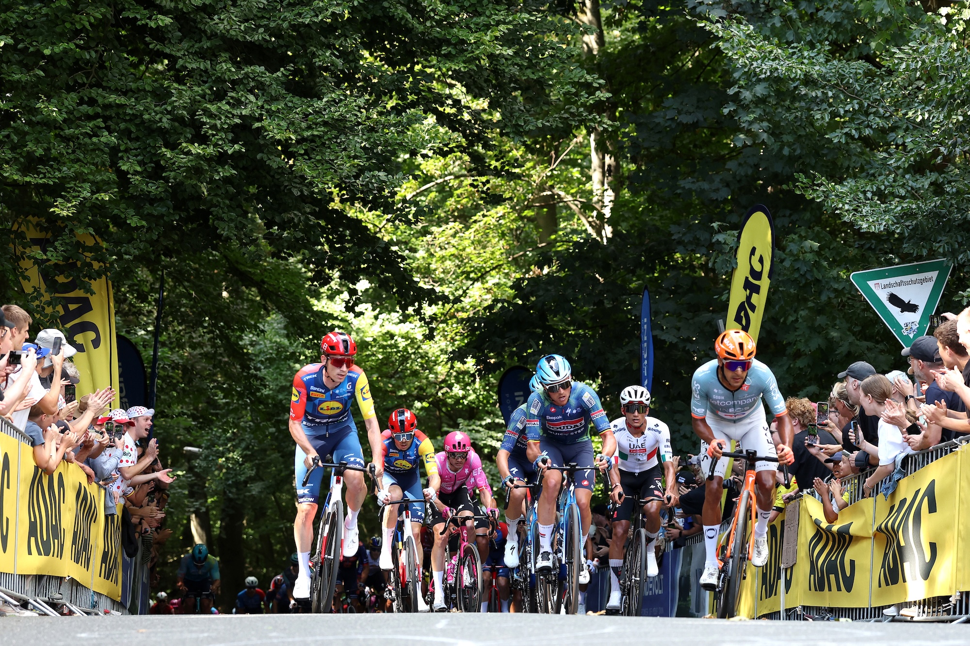 HAMBURG, GERMANY - AUGUST 16: (L-R) Otto Vergaerde of Belgium and Team Lidl - Trek, Yves Lampaert of Belgium and Team Soudal Quick-Step, Isaac Del Toro of Mexico and UAE Team Emirates - XRG and Brandon Smith Rivera of Colombia and Team Netcompany INEOS lead the peloton climbing the Waseberg during the 29th ADAC Cyclassics Hamburg 2026 a 205.3km one day race from Buxtehude to Hamburg / #UCIWT / on August 16, 2026 in Hamburg, Germany. (Photo by Ronny Hartmann/Getty Images)