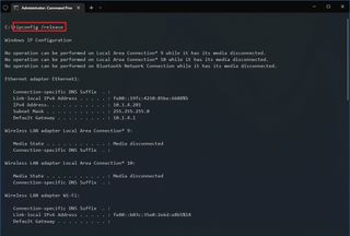 ipconfig release