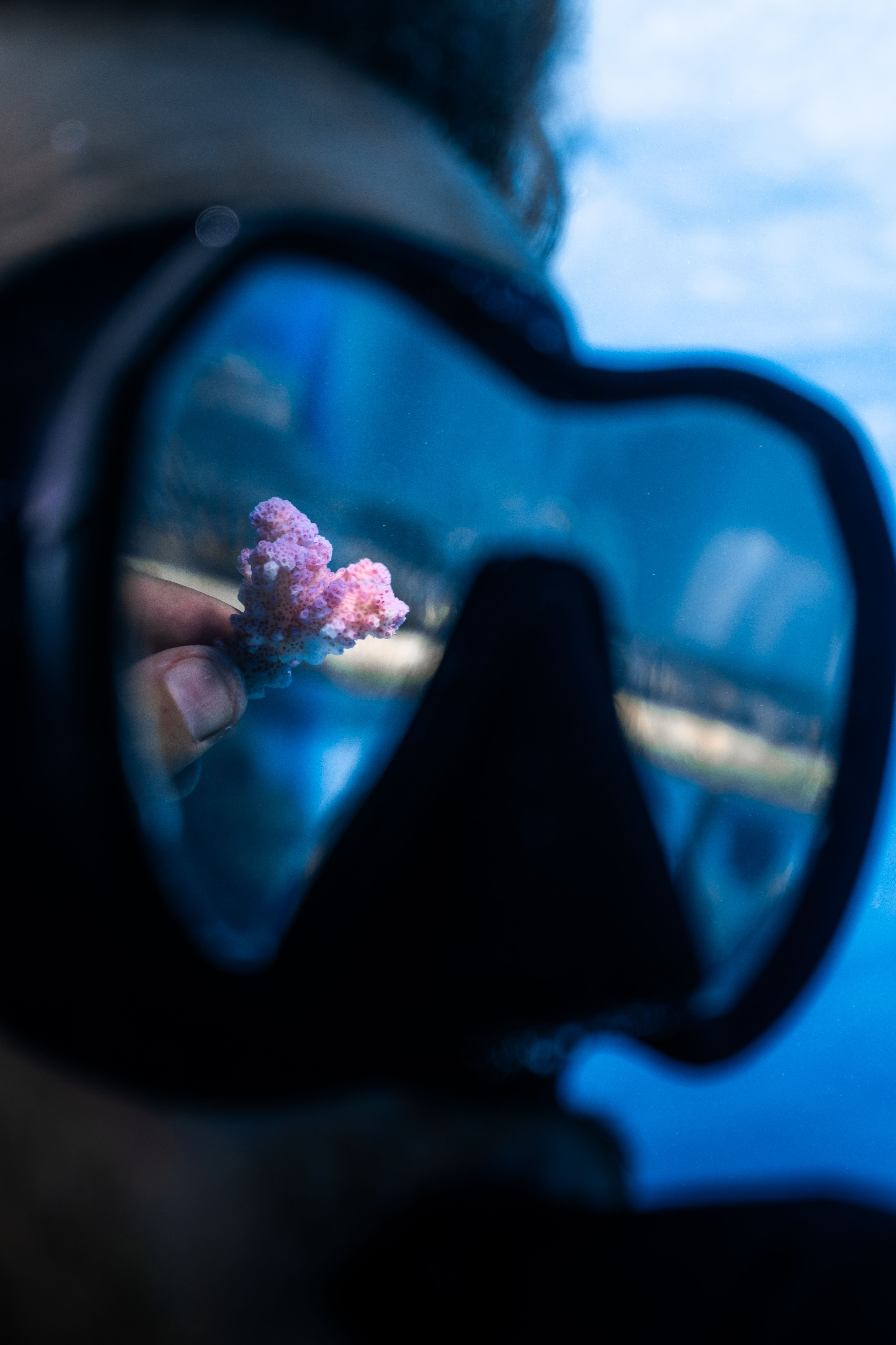 Coral Gardeners