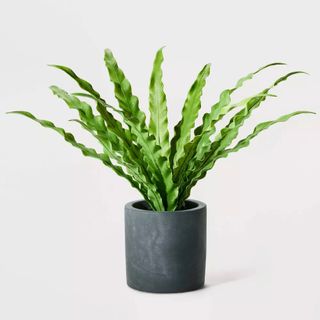 A small artificial fern nest plant in a grey ceramic pot