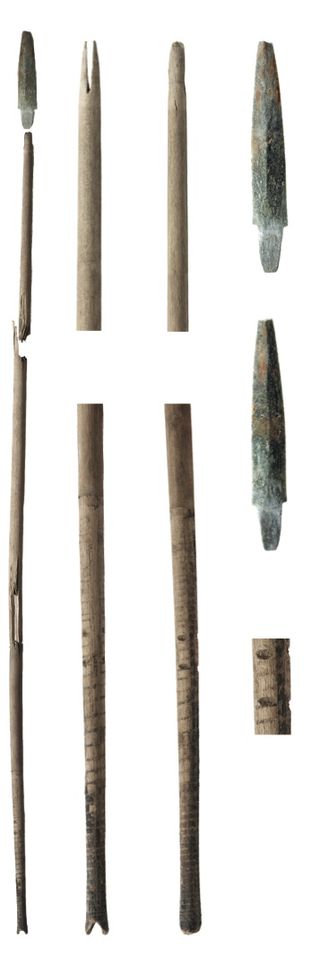 arrow shafts found in a frozen snow patch