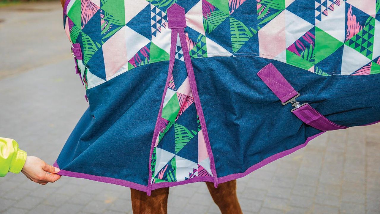 Ponyo 100g turnout rug review