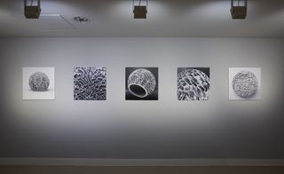 Installation view of the gallery