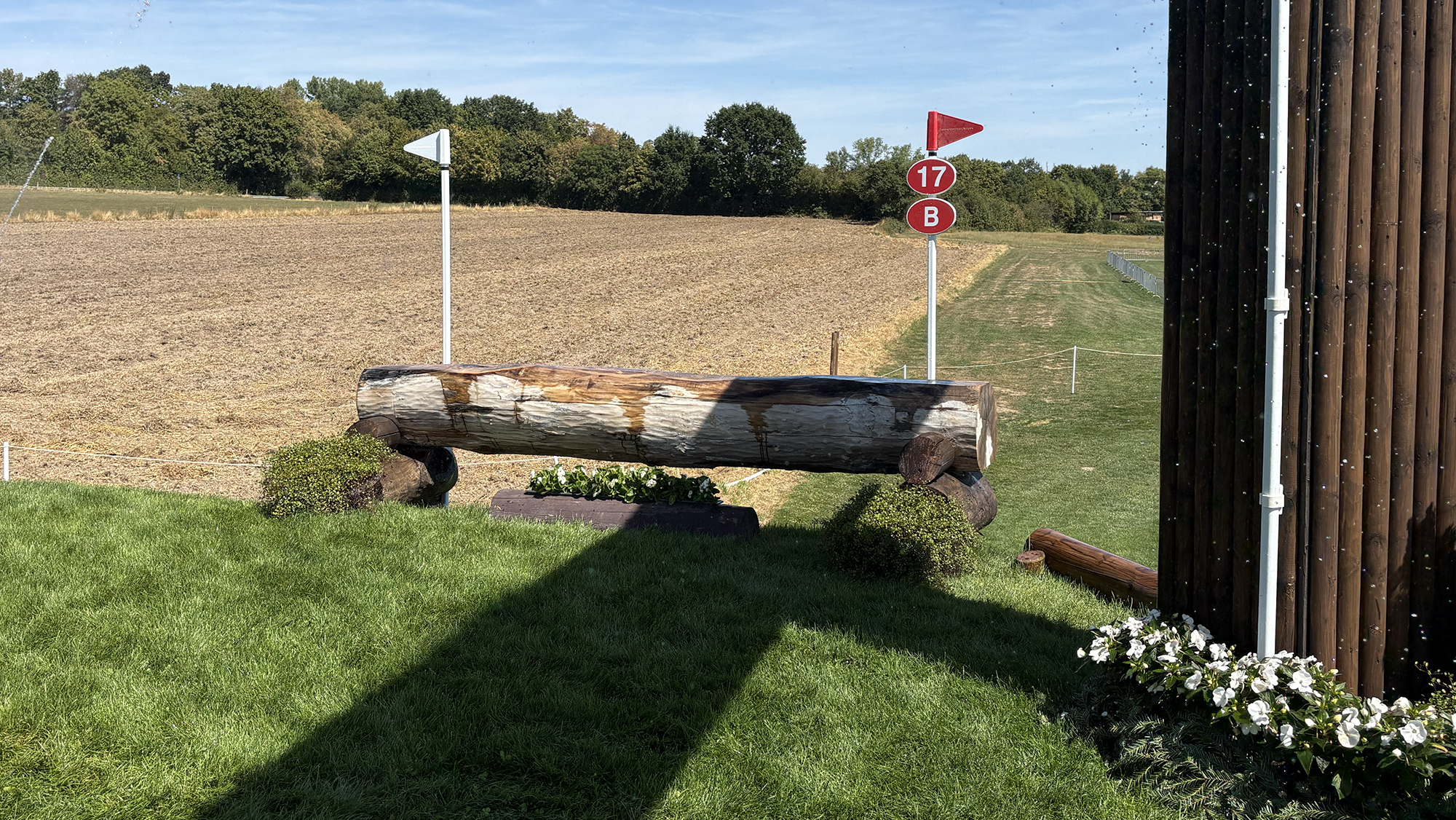 A log on top of a drop on the eventing World Championships cross-country course