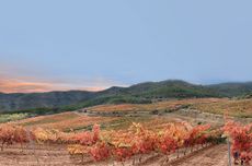 La Pasada vineyard, Rioja Oriental