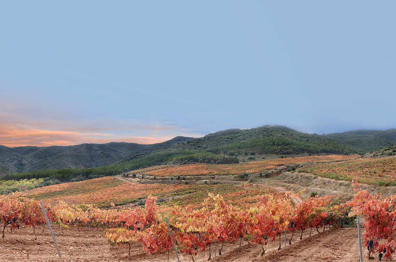 La Pasada vineyard, Rioja Oriental