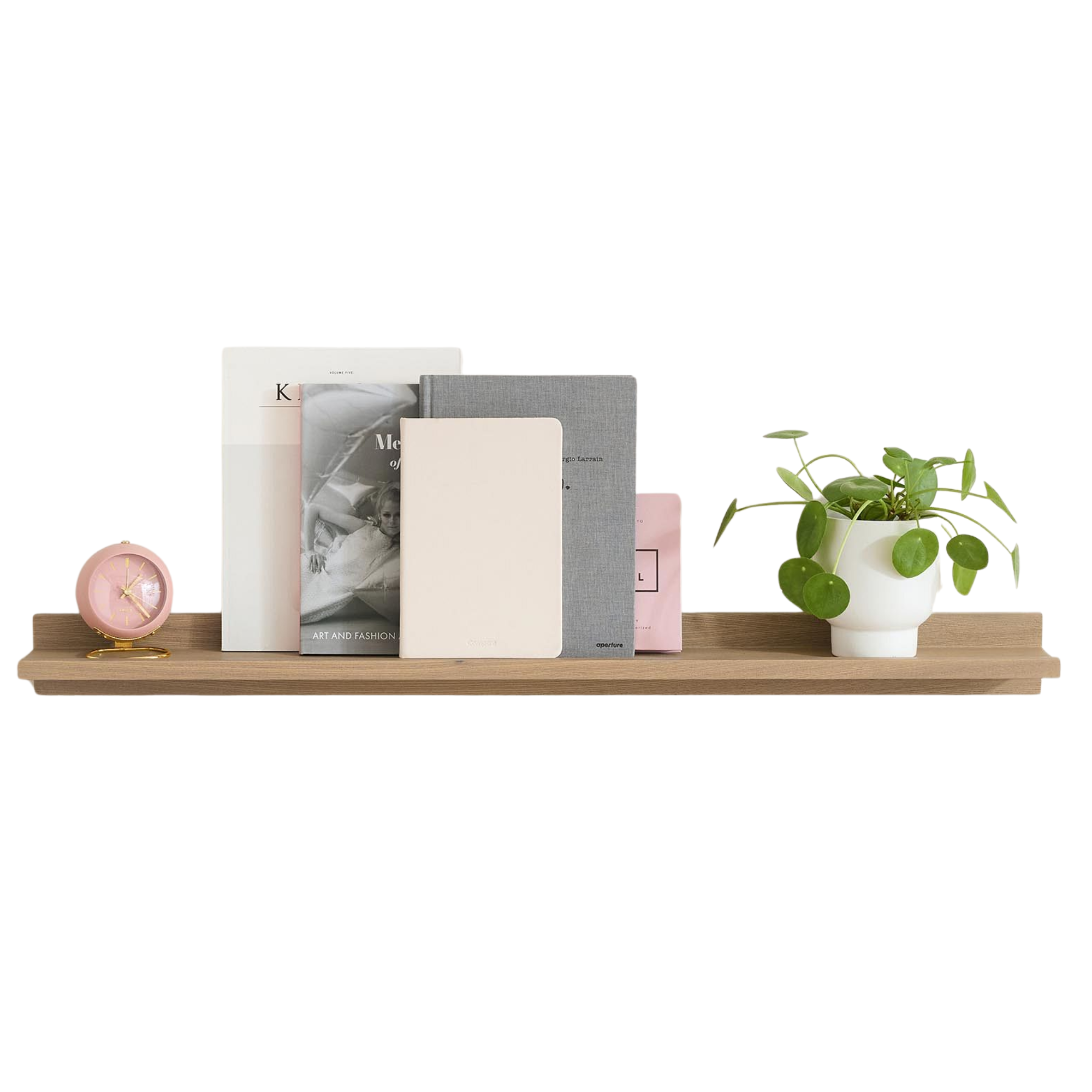 a wall mounted shelf holding books, a plant, and a clock