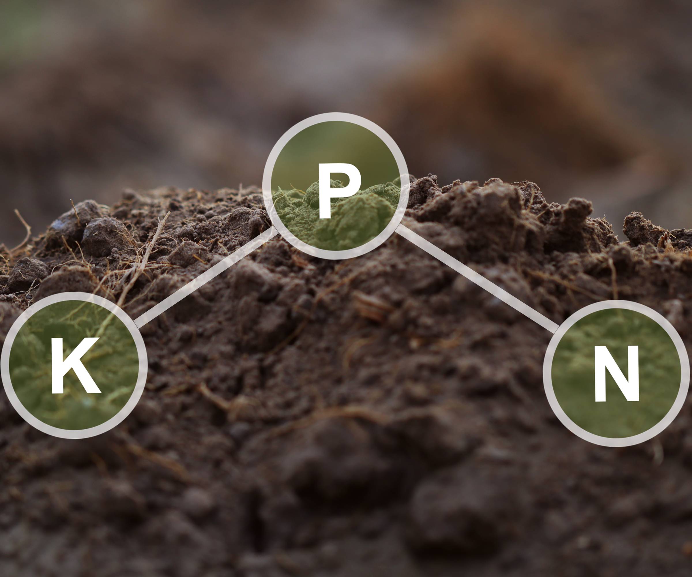 The letters NPK in circles over a pile of soil