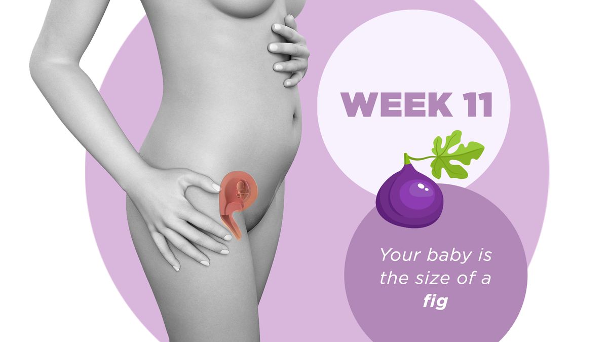 Week by week pregnancy guide: 11 weeks pregnant