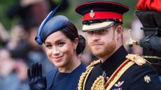 Prince Harry and Meghan Markle will feature in a new royal book with bombshell claims