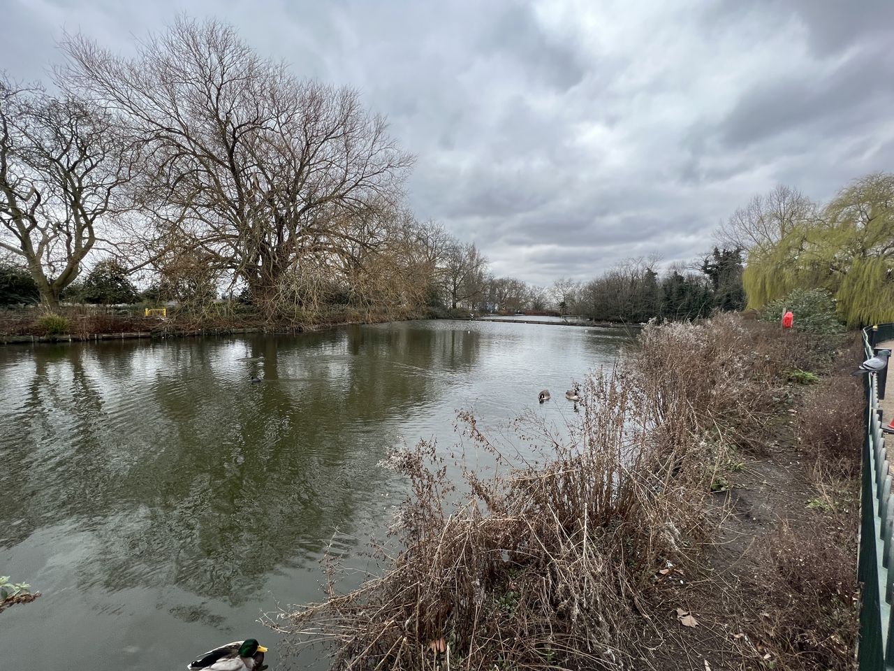 iPhone 14 Pro sample images