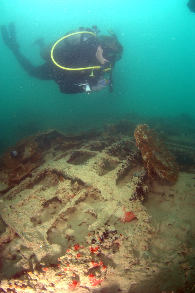 Lost In Pearl Harbor: Photos Of Sunken WWII-Era Navy Plane | Live Science