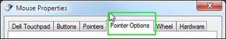 Pointer options