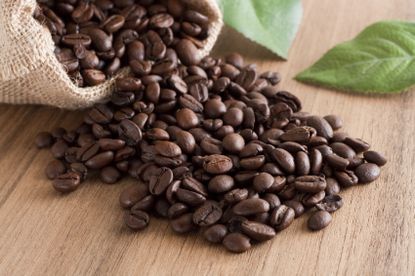 The global demand for coffee beans is increasing as countries westernize