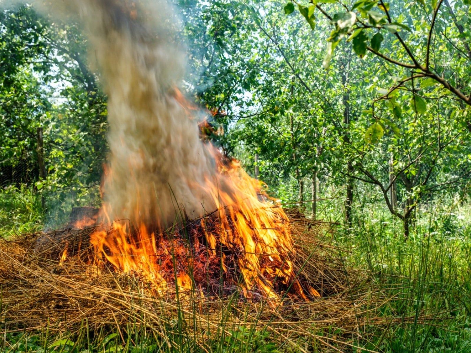 Why You Shouldn’t Burn Leaves And Yard Waste Gardening Know How