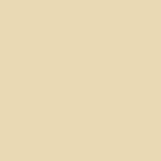 No. 67 Farrow's Cream paint swatch