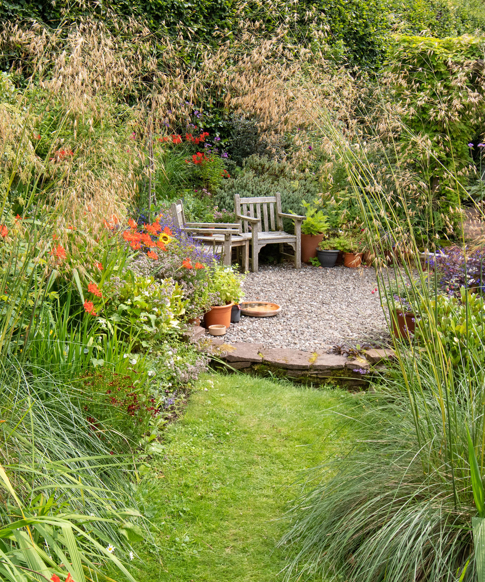 garden seating area in verdant informal garden surrounded by tall ornamental grass