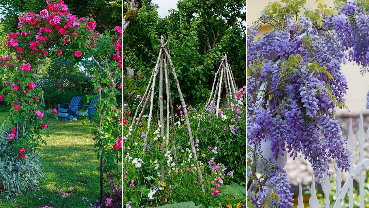 flowers growing over different types of climbing plant supports