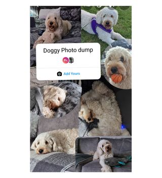 What is a photo dump? Instagram story prompt